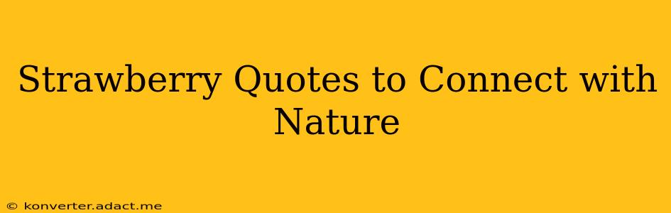 Strawberry Quotes to Connect with Nature