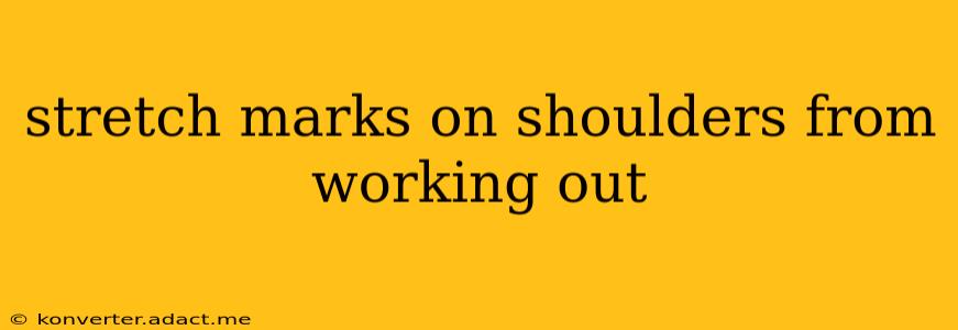 stretch marks on shoulders from working out