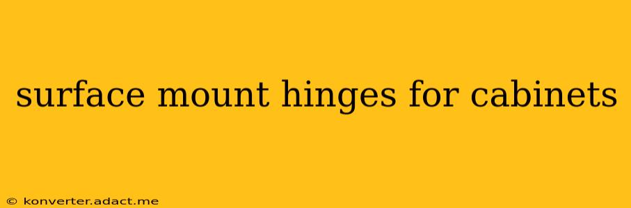 surface mount hinges for cabinets