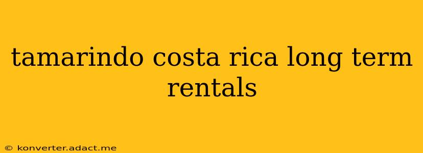 tamarindo costa rica long term rentals
