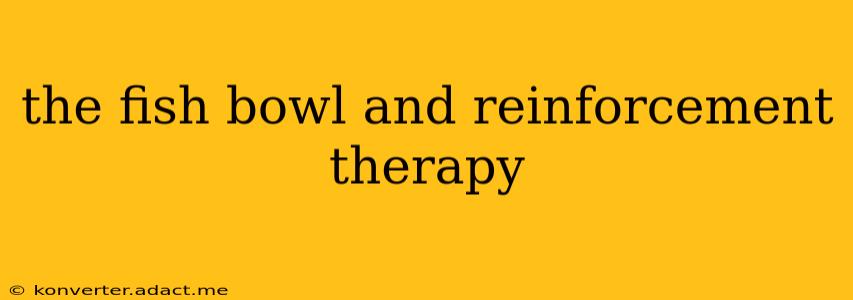 the fish bowl and reinforcement therapy