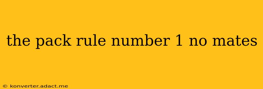 the pack rule number 1 no mates