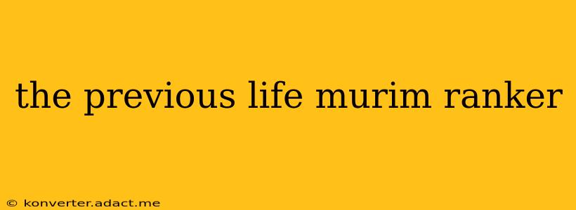the previous life murim ranker