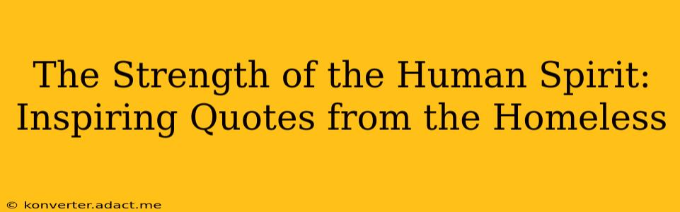 The Strength of the Human Spirit: Inspiring Quotes from the Homeless