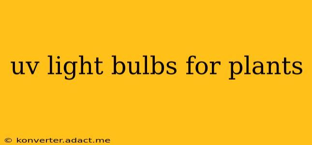uv light bulbs for plants