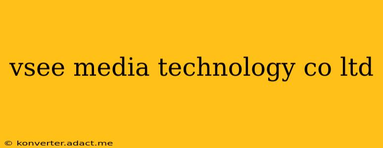 vsee media technology co ltd
