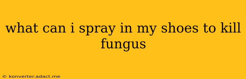 what can i spray in my shoes to kill fungus