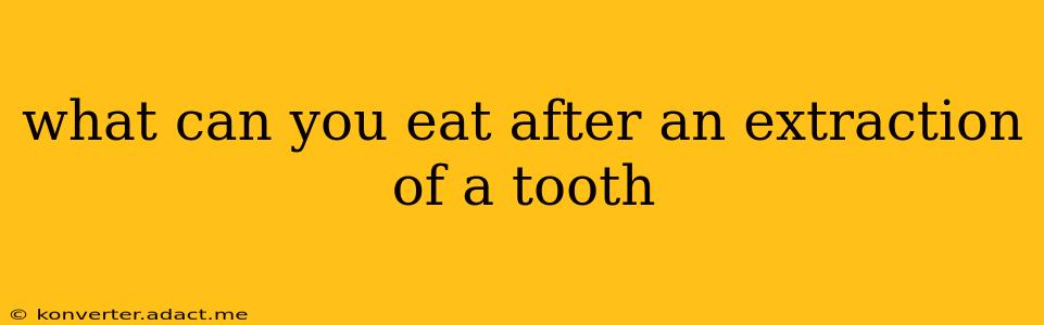what can you eat after an extraction of a tooth