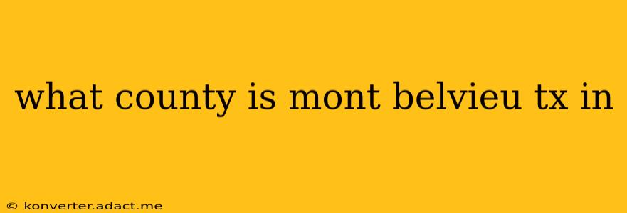 what county is mont belvieu tx in