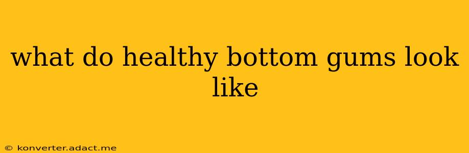 what do healthy bottom gums look like