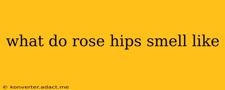 what do rose hips smell like