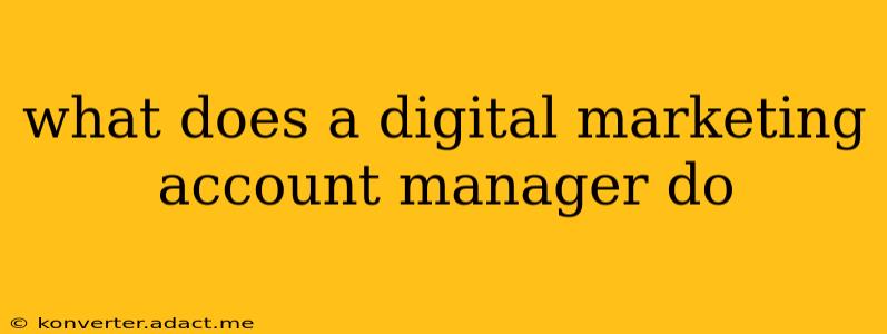 what does a digital marketing account manager do