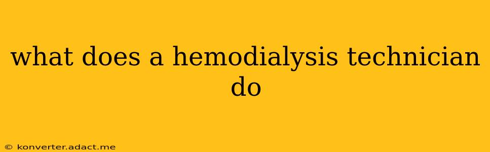 what does a hemodialysis technician do
