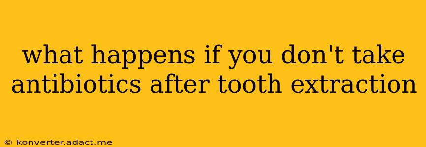 what happens if you don't take antibiotics after tooth extraction