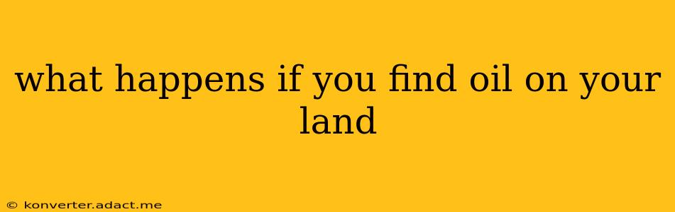 what happens if you find oil on your land