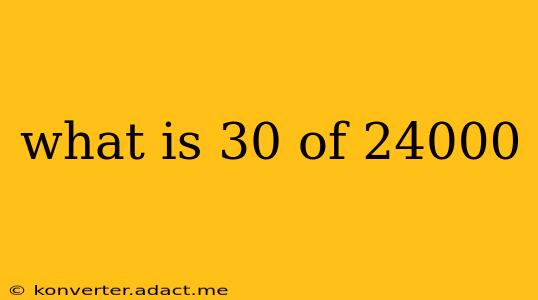 what is 30 of 24000