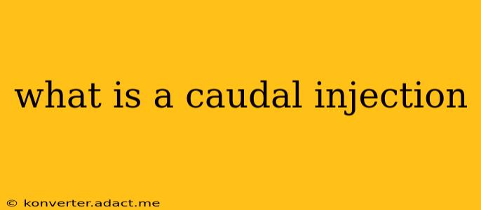 what is a caudal injection