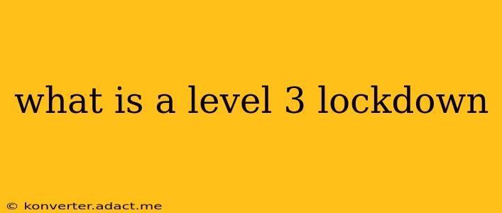 what is a level 3 lockdown