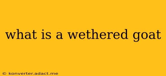 what is a wethered goat