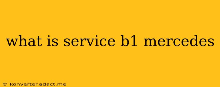what is service b1 mercedes