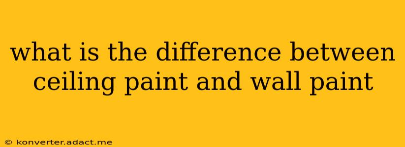 what is the difference between ceiling paint and wall paint