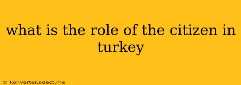 what is the role of the citizen in turkey