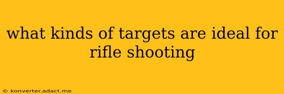 what kinds of targets are ideal for rifle shooting