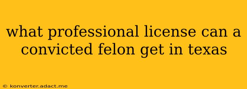 what professional license can a convicted felon get in texas