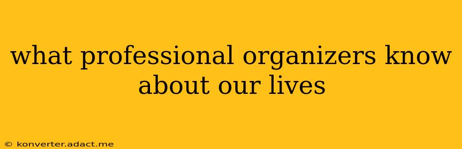 what professional organizers know about our lives