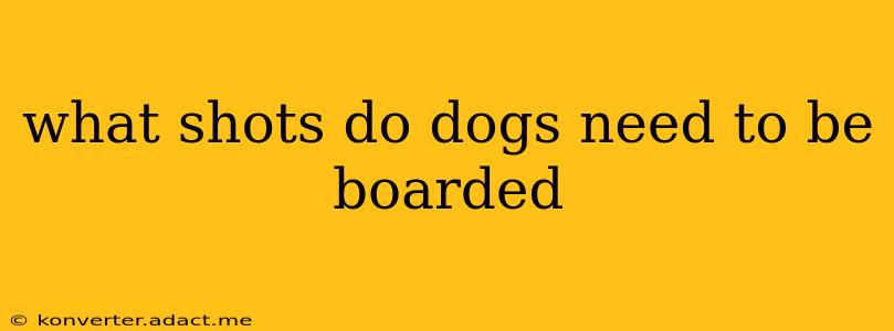 what shots do dogs need to be boarded