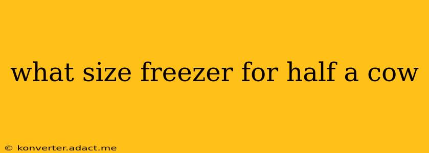 what size freezer for half a cow