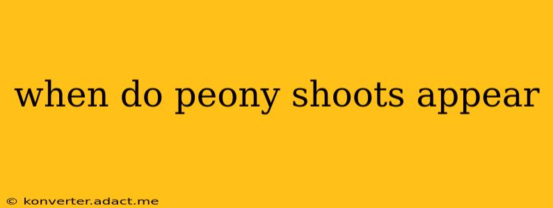 when do peony shoots appear