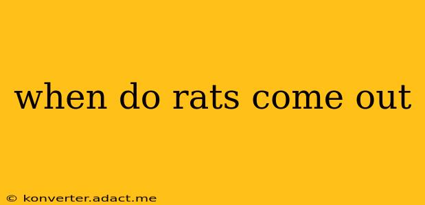 when do rats come out