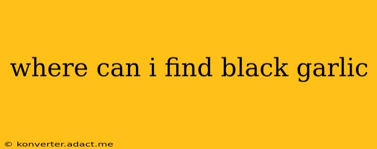 where can i find black garlic