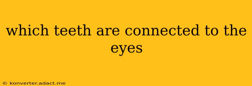 which teeth are connected to the eyes