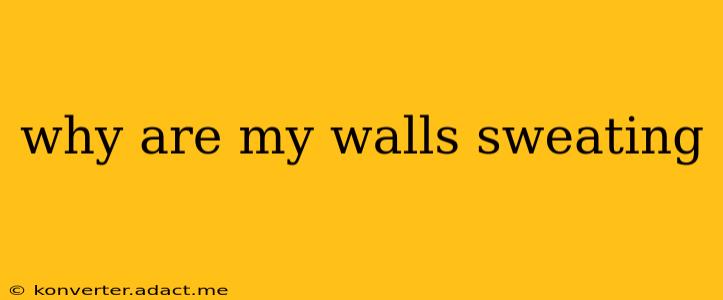 why are my walls sweating