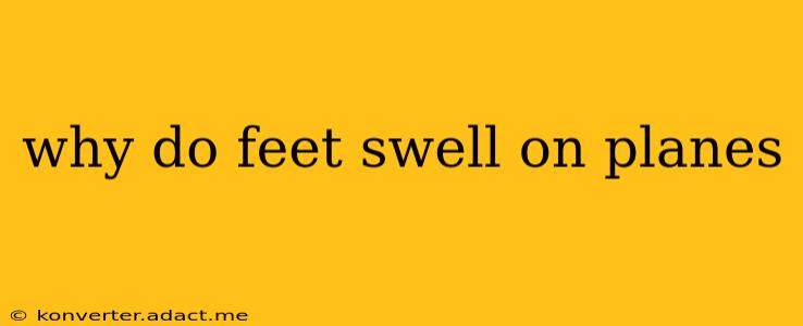 why do feet swell on planes