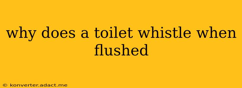 why does a toilet whistle when flushed