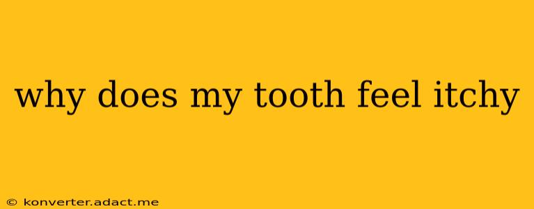 why does my tooth feel itchy