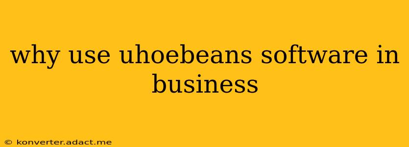 why use uhoebeans software in business
