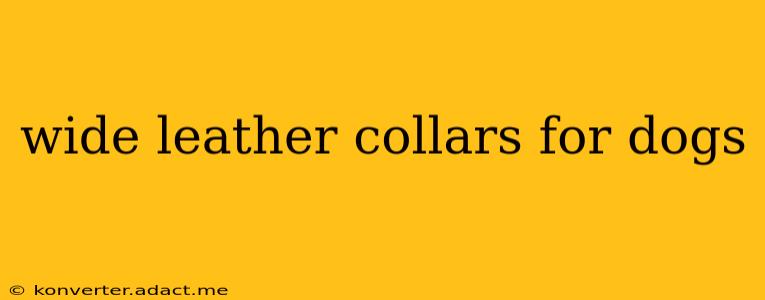 wide leather collars for dogs