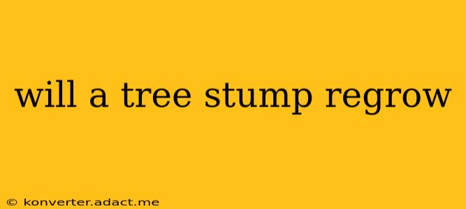 will a tree stump regrow
