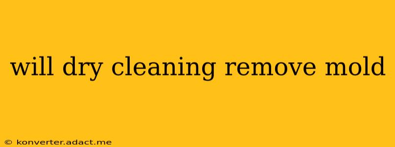 will dry cleaning remove mold
