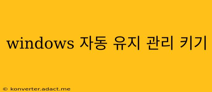 windows 자동 유지 관리 키기