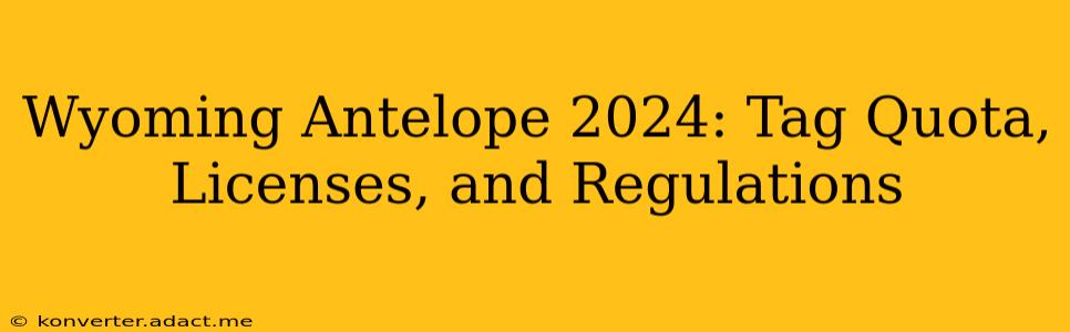 Wyoming Antelope 2024: Tag Quota, Licenses, and Regulations