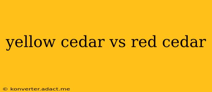 yellow cedar vs red cedar