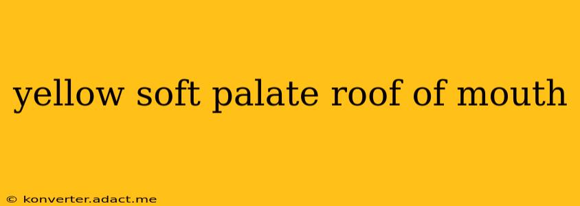 yellow soft palate roof of mouth