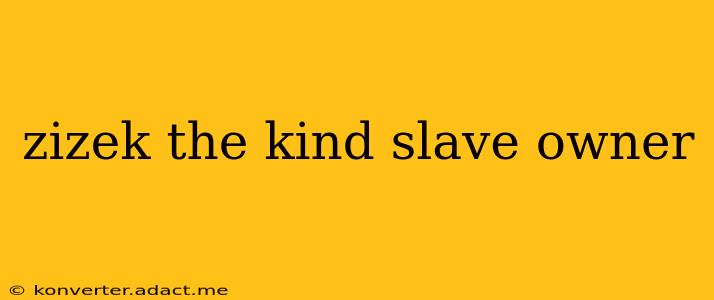 zizek the kind slave owner